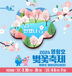 속초시, 2024 영랑호 벚꽃축제 기간 연장