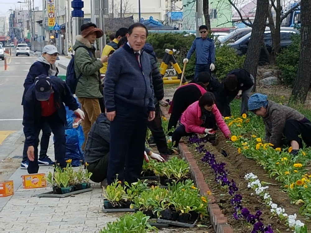 2017 교동통장협의회 꽃으로 덮인 가로환경조성사업3